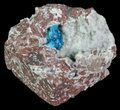 Vibrant Blue Cavansite Clusters on Stilbite - India #67796-2
